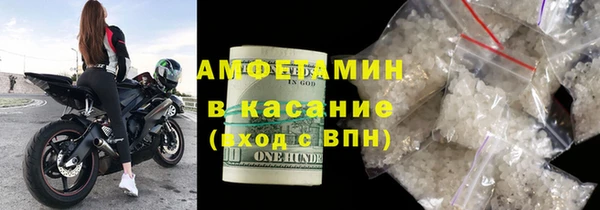 шишки Новозыбков