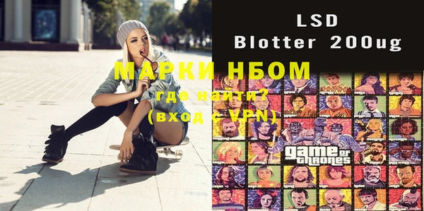 шишки Новозыбков