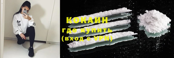 шишки Новозыбков