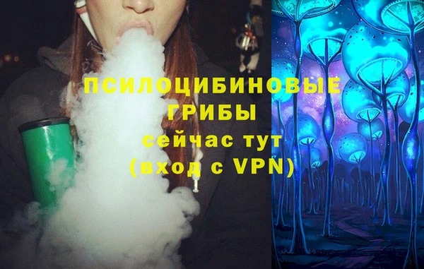 шишки Новозыбков