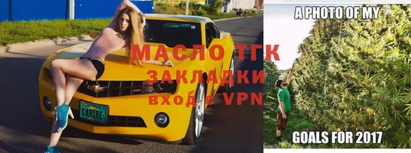 шишки Новозыбков