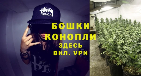 марихуана Новодвинск