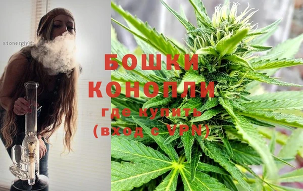 шишки Новозыбков