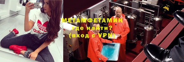 шишки Новозыбков