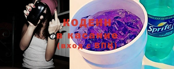 шишки Новозыбков