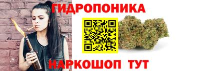 мяу мяу мука Беслан