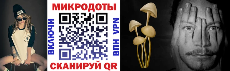 где купить наркоту  Железногорск  Галлюциногенные грибы Cubensis 